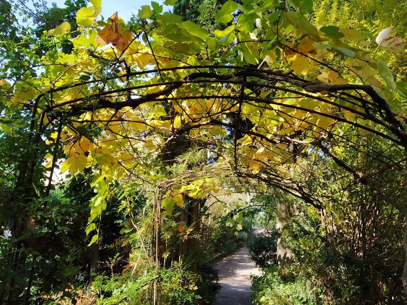 Photo 2 de Jardin La Pomme d'Ambre