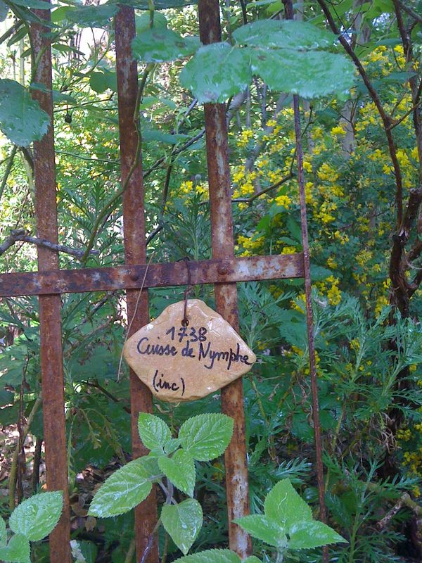Photo 4 de Jardin La Pomme d'Ambre