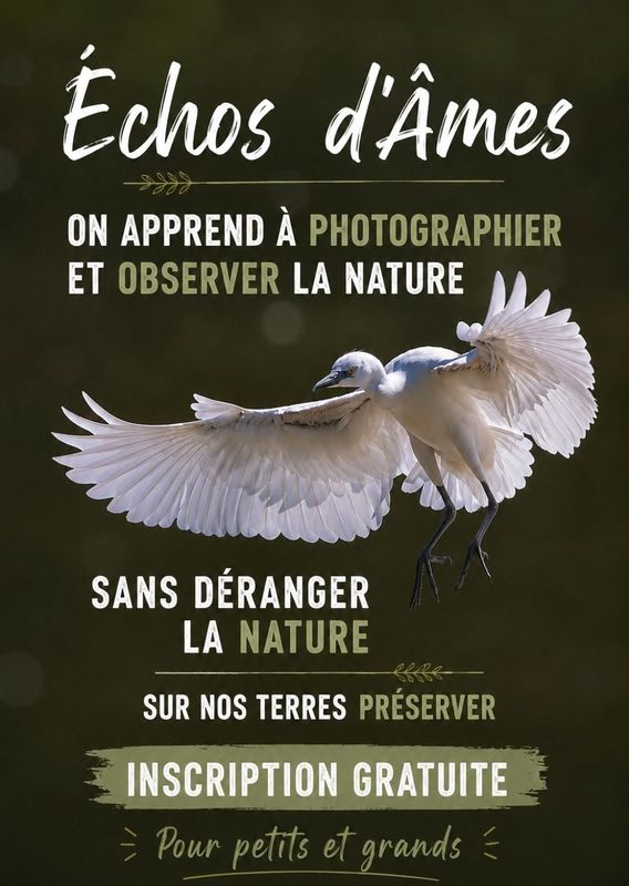 ASSOCIATION ÉCHOS D'ÂMES