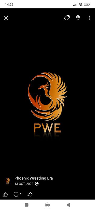 Phoenix Wrestling Era