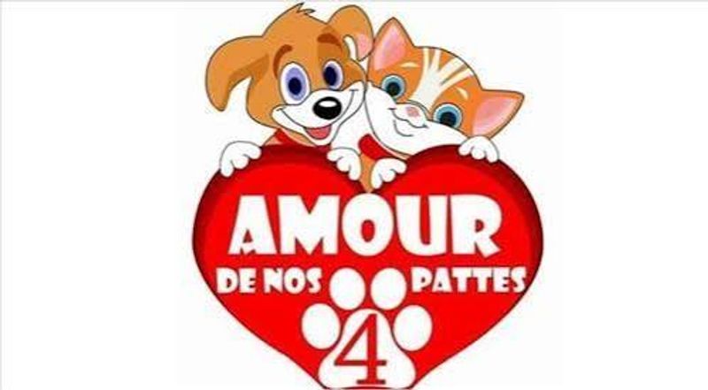 Photo 5 de Amour de nos 4  patttes