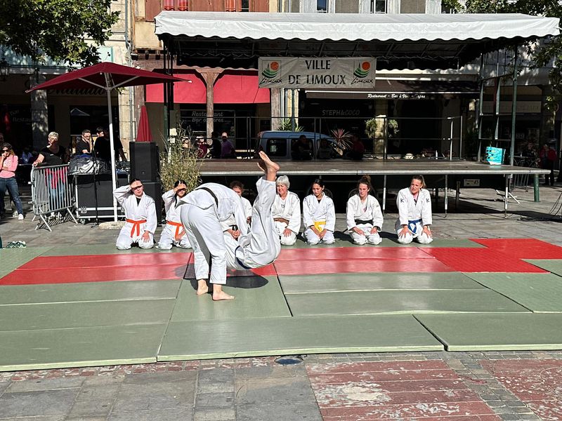 Photo 2 de JUDO CLUB LIMOUXIN