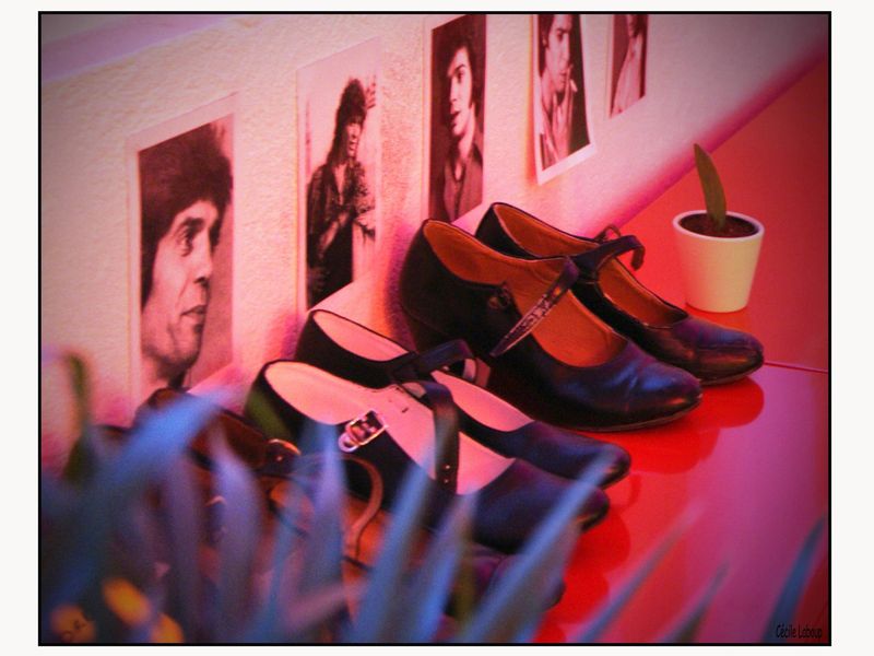 Photo 3 de L'ATELIER FLAMENCO©