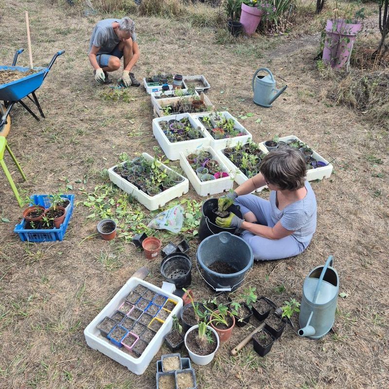 Photo 4 de Le Jardin des Possibles
