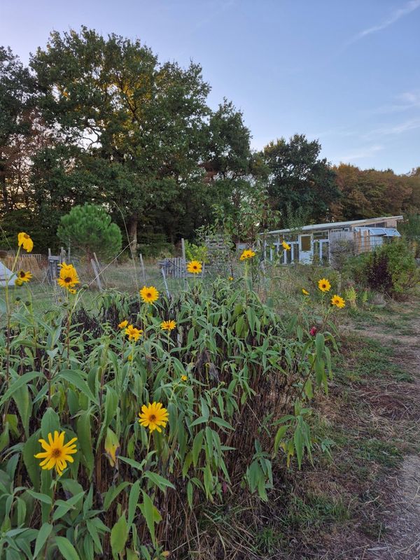 Le Jardin des Possibles