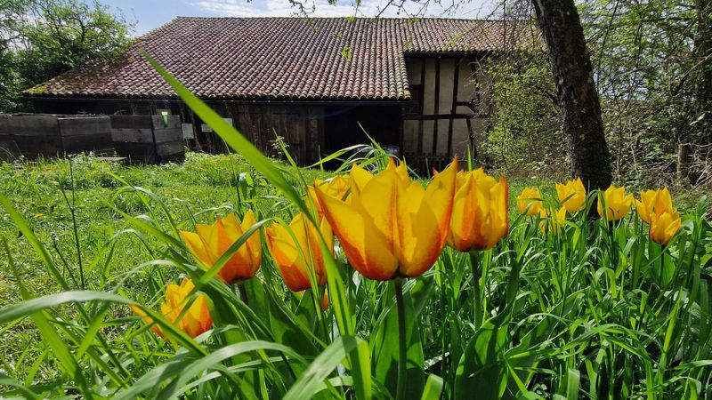 Photo 4 de Association Patrimoine de Belles-Forets