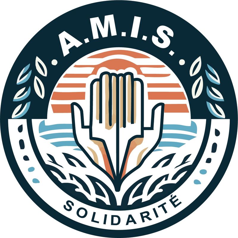 Association Médiation Insertion Solidarité (A.M.I.S)