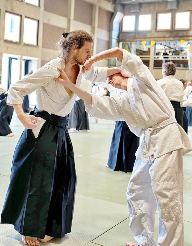 Photo 2 de AIKIDO AUZEVILLE 31