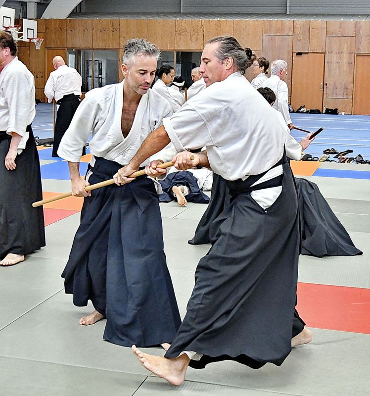 Photo 4 de AIKIDO AUZEVILLE 31
