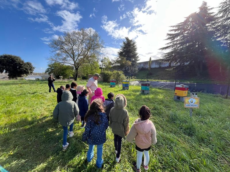 Photo 2 de Du Boxon au Jardin 