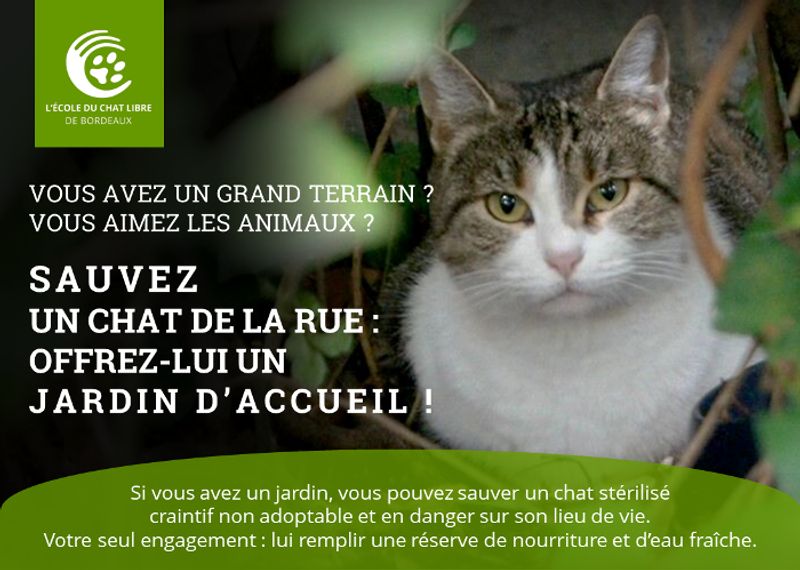 Photo 4 de Ecole du Chat Libre de Bordeaux