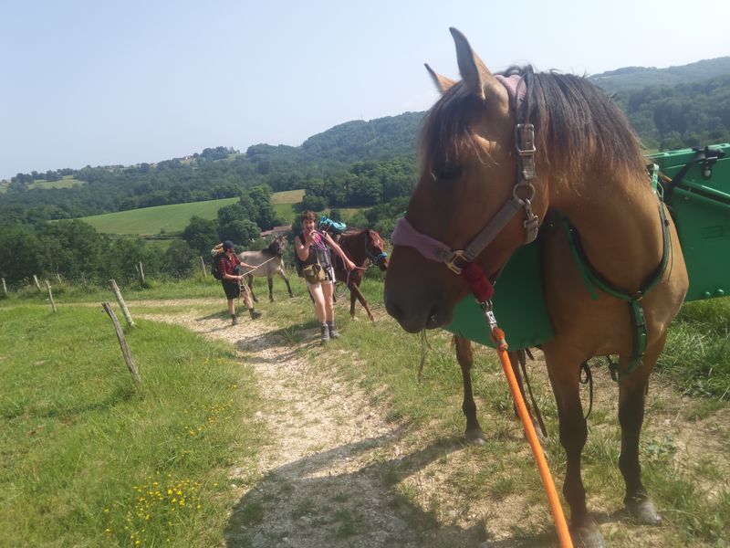 Photo 4 de Le Ranch du Bonheur