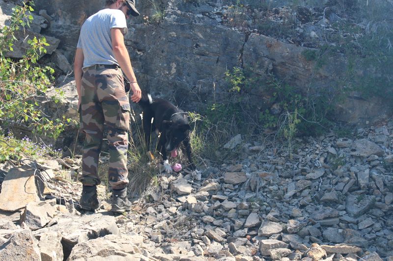 Photo 3 de Association Canine Jura Sud