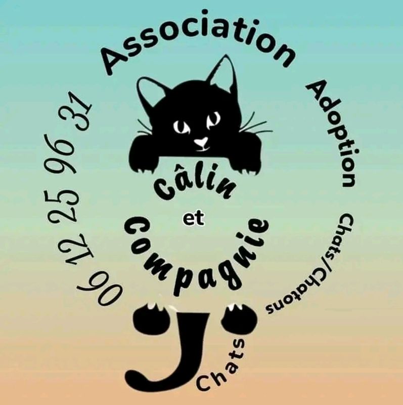 Câlin et compagnie 