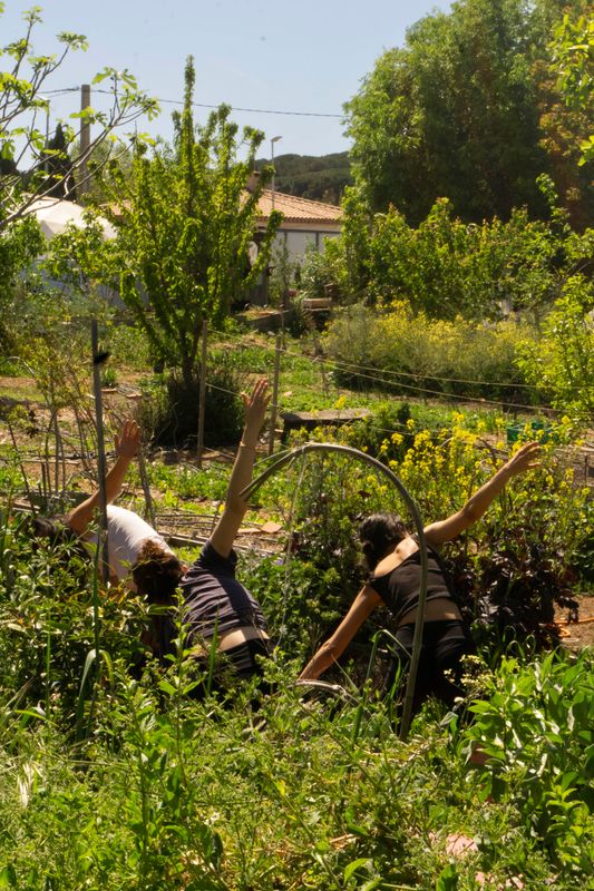 Photo 3 de Heko Farm le Talus